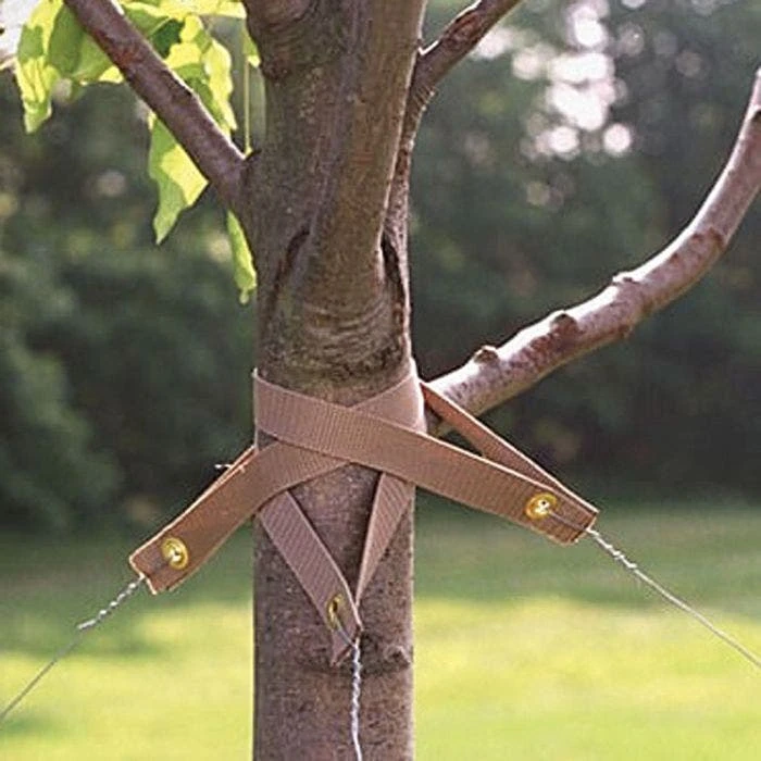 Tree Straps 2 Tree Straps - Image 2