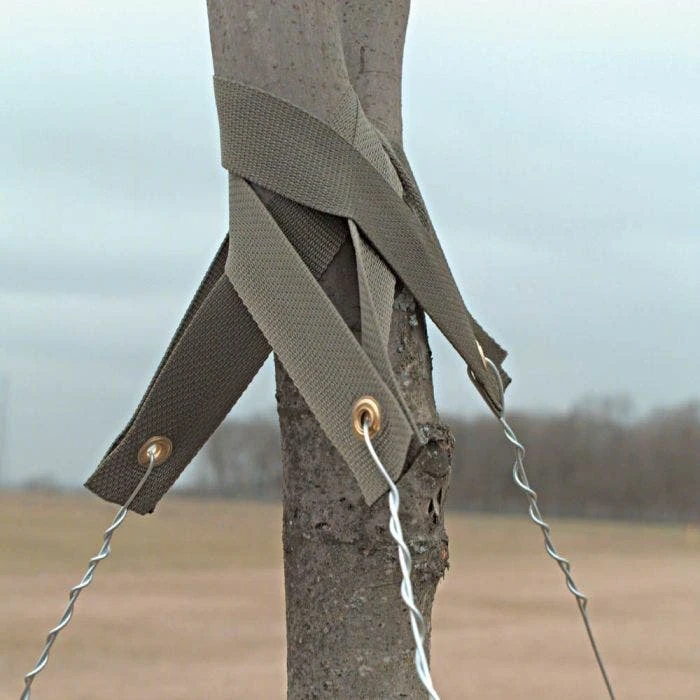 Tree Straps 3 Tree Straps - Image 3