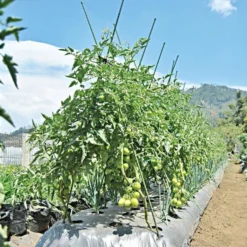 Knotty Takiron Green Steel Stakes, 7/16"x 5', Bundle Of 10 12 Knotty Takiron Green Steel Stakes, 7/16"x 5', Bundle Of 10 -Outdoor Garden Store 115tsk 5