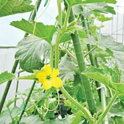 Knotty Takiron Green Steel Stakes, 5/8"x 6', Bundle Of 10 -Outdoor Garden Store 166tsk 4