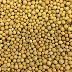 Osmocote 18-6-12 Slow-Release Fertilizer -Outdoor Garden Store 18612 2