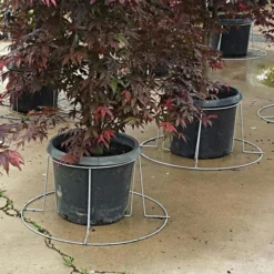 Better Bilt TopHatPlant Container Stabilizer - 15 Gallon Size -Outdoor Garden Store 3ps15 2 1