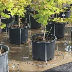 Better Bilt TopHat Plant Container Stabilizer - 5 Gallon Size