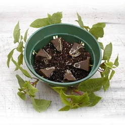 Belden Plastics 10 Inch Hanging Garden Baskets Case Of 25 -Outdoor Garden Store 690202 4