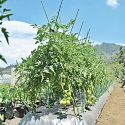 Knotty Takiron Green Steel Stakes, 3/8" X 4', Bundle Of 10 12 Knotty Takiron Green Steel Stakes, 3/8" X 4', Bundle Of 10 -Outdoor Garden Store 84tsk 5