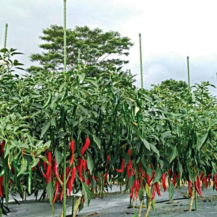 Knotty Takiron Green Steel Stakes, 3/8" X 4', Bundle Of 10 7 Knotty Takiron Green Steel Stakes, 3/8" X 4', Bundle Of 10 - Image 7