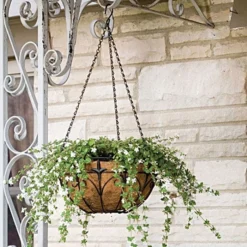 Wire Hanging Basket Fleur De Lis Coco Liner And Chain 14in Diam -Outdoor Garden Store 88512 2
