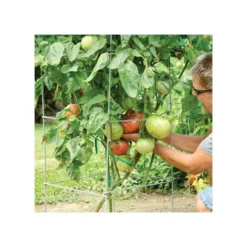 Super-Sturdy Professional Folding Tomato Cage, 60in X 18in -Outdoor Garden Store 89713 2