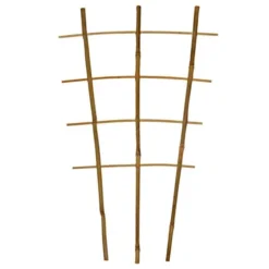 Bamboo Trellis Ladder/Fan, 24-Inch Height, Bundle Of 50