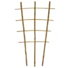 Bamboo Trellis Ladder/Fan, 30-Inch Height, Bundle Of 50