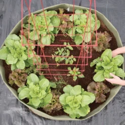 Root Pouch 150 Gallon Non-Degradable Grow Bag, Green -Outdoor Garden Store boxer150g 3 1