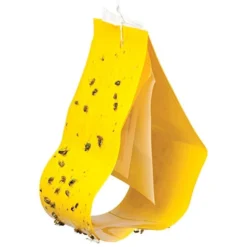 Cucumber Beetle Trap & Lure -Outdoor Garden Store cb3436 2