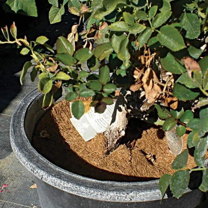 Coco Weed Guards, 17-Centimeter Diameter, Case Of 715 4 Coco Weed Guards, 17-Centimeter Diameter, Case Of 715 - Image 4