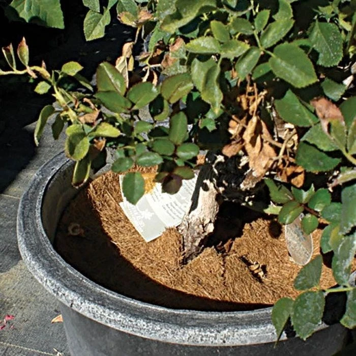 Coco Weed Guards, 37-Centimeter Diameter, Case Of 50 4 Coco Weed Guards, 37-Centimeter Diameter, Case Of 50 - Image 4