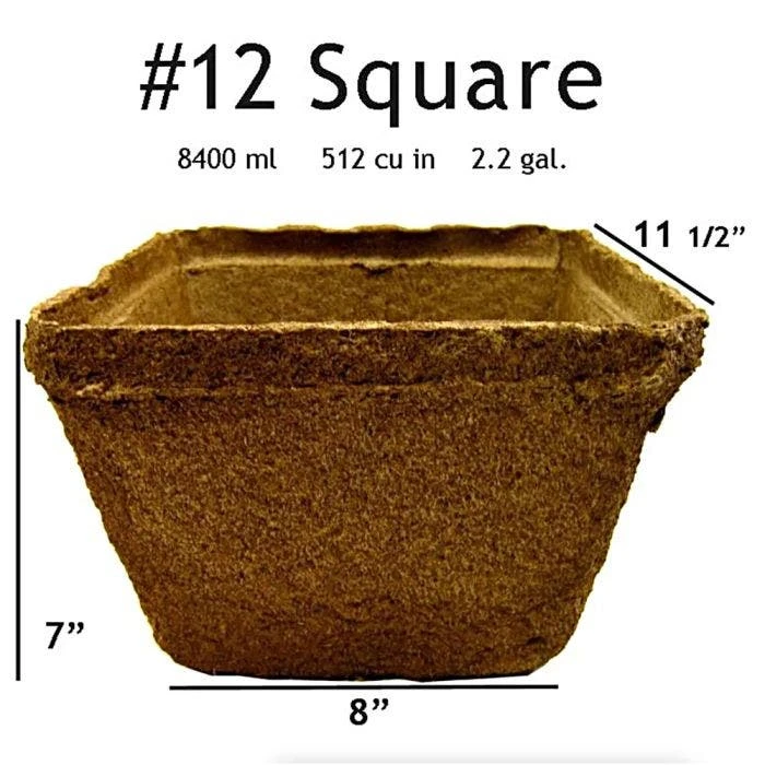 CowPots #12 Square Pots, Case Of 40 2 CowPots #12 Square Pots, Case Of 40 - Image 2