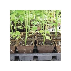 CowPots, #3 Square Pots, Case Of 400 -Outdoor Garden Store cpsq3 3