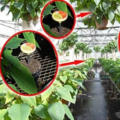 Spectrum Greenhouse DLI Meter -Outdoor Garden Store dli100 gh 3