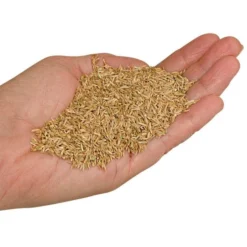 Fairlawn Blue And Rye Mix, 25 Lb Bag 6 Fairlawn Blue And Rye Mix, 25 Lb Bag -Outdoor Garden Store fair25 2 1