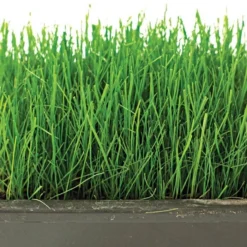 Fairlawn Shade Mix, 25 Lb Bag -Outdoor Garden Store flsh25 2 1