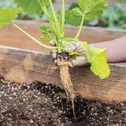 Grow-Plugs, Case Of 1,400 -Outdoor Garden Store fp1400 6