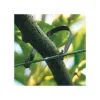 Fruit Tree Tie, 150mm
