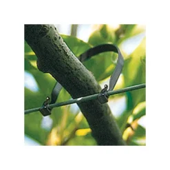 Fruit Tree Tie, 150mm