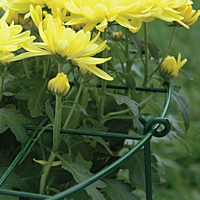 Commercial Steel Grid Plant Brace, 25in X 16in 4 Commercial Steel Grid Plant Brace, 25in X 16in - Image 4