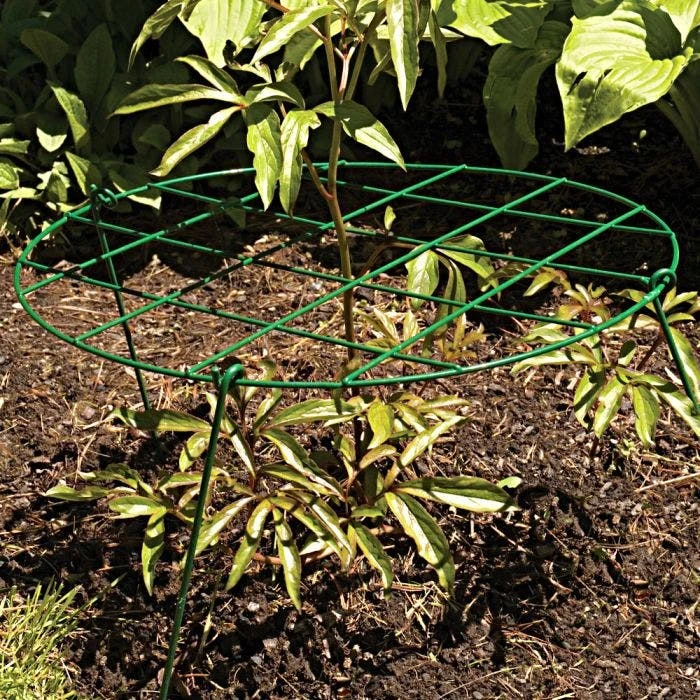 Commercial Steel Grid Plant Brace, 25in X 16in 5 Commercial Steel Grid Plant Brace, 25in X 16in - Image 5