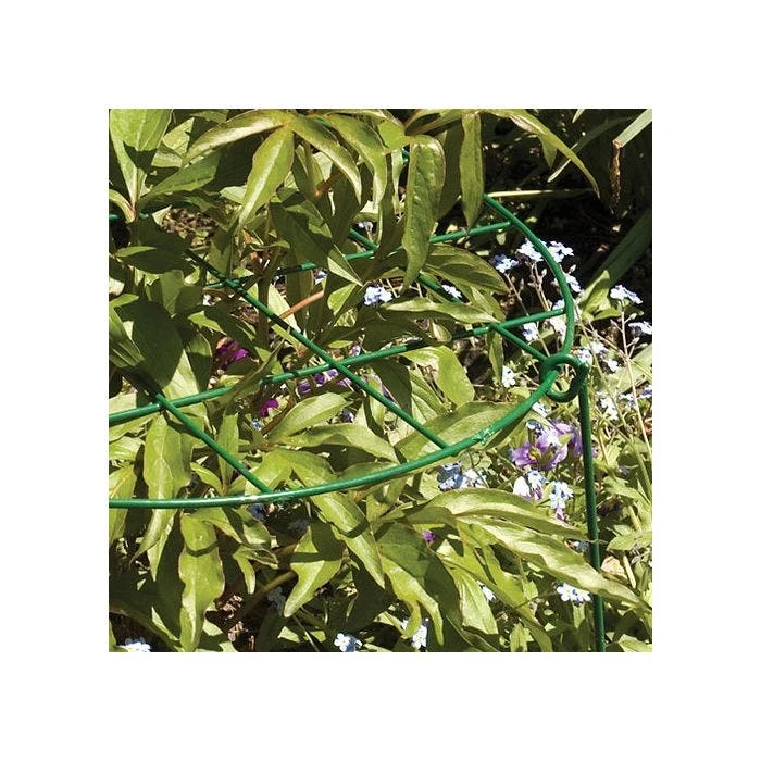 Commercial Steel Grid Plant Brace, 25in X 16in 6 Commercial Steel Grid Plant Brace, 25in X 16in - Image 6