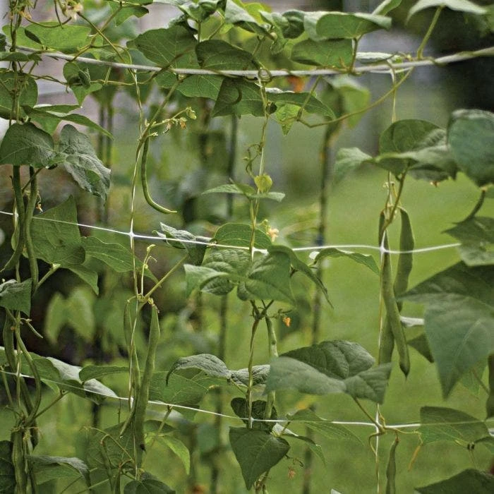 Hortonova Trellis Netting, 6-1/2 Feet X 3,280 Feet 13 Hortonova Trellis Netting, 6-1/2 Feet X 3,280 Feet - Image 13