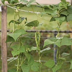 Hortonova Trellis Netting, 6-1/2 Feet X 3,280 Feet 34 Hortonova Trellis Netting, 6-1/2 Feet X 3,280 Feet -Outdoor Garden Store htn63280 14