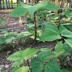 Hortonova Trellis Netting, 6-1/2 Feet X 3,280 Feet 37 Hortonova Trellis Netting, 6-1/2 Feet X 3,280 Feet -Outdoor Garden Store htn63280 17