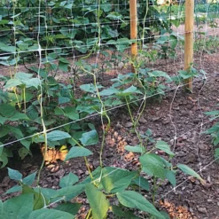 Hortonova Trellis Netting, 6-1/2 Feet X 3,280 Feet 22 Hortonova Trellis Netting, 6-1/2 Feet X 3,280 Feet -Outdoor Garden Store htn63280 2