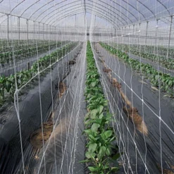 Hortonova Trellis Netting, 6-1/2 Feet X 3,280 Feet 24 Hortonova Trellis Netting, 6-1/2 Feet X 3,280 Feet -Outdoor Garden Store htn63280 4