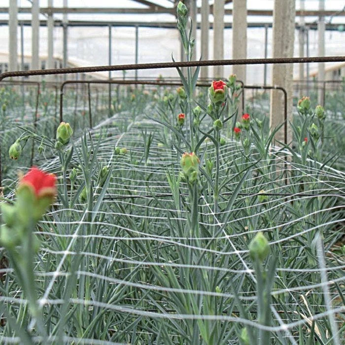 Hortonova Trellis Netting, 6-1/2 Feet X 3,280 Feet 7 Hortonova Trellis Netting, 6-1/2 Feet X 3,280 Feet - Image 7