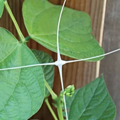 Hortonova Trellis Netting, 6-1/2 Feet X 3,280 Feet 29 Hortonova Trellis Netting, 6-1/2 Feet X 3,280 Feet -Outdoor Garden Store htn63280 9