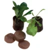 Jiffy 7 Peat Pellet Prespaced In Trays