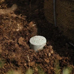 Leonard Fertilizer Tablets For Tree Planting 20-10-5 Controlled Release 24 Months 5 Grams -Outdoor Garden Store lpt5 4