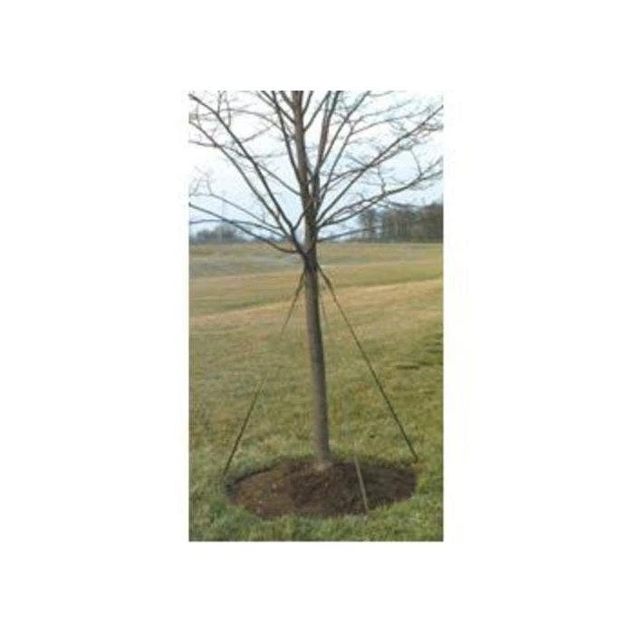 Leonard Tree Tie Webbing White 500ft 2 Leonard Tree Tie Webbing White 500ft - Image 2