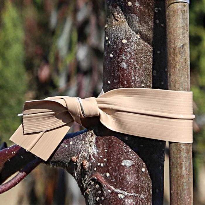 STRETCH TIE 6"L X 1/2"W - TAN, 4000/BOX 2 STRETCH TIE 6"L X 1/2"W - TAN, 4000/BOX - Image 2