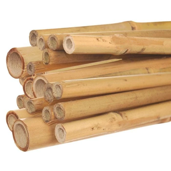 3-Foot Natural First Cut Premium Bamboo Stakes, 12-14 Mm Diameter, Bundle Of 250 1 3-Foot Natural First Cut Premium Bamboo Stakes, 12-14 Mm Diameter, Bundle Of 250
