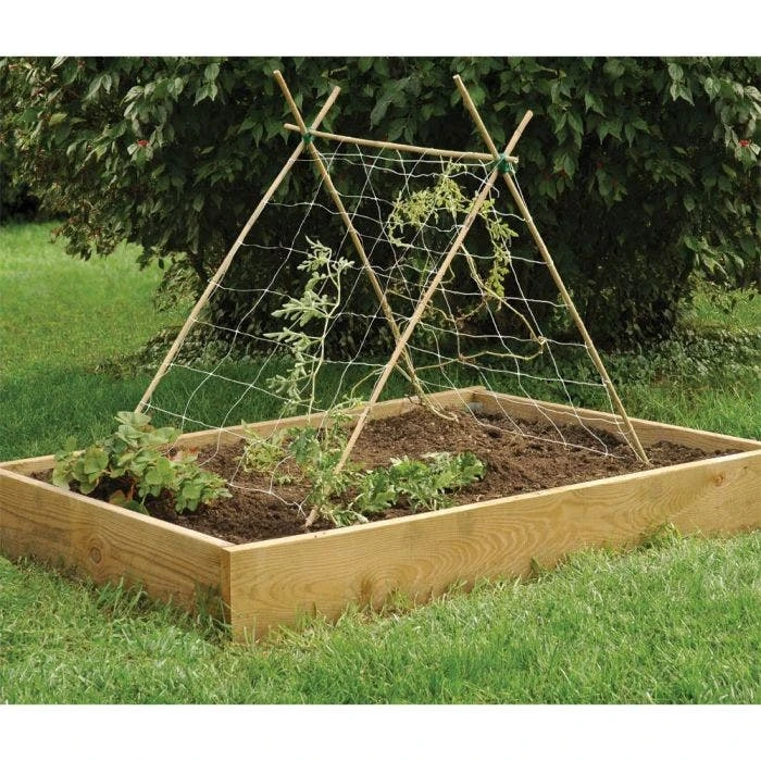 3-Foot Natural First Cut Premium Bamboo Stakes, 12-14 Mm Diameter, Bundle Of 250 2 3-Foot Natural First Cut Premium Bamboo Stakes, 12-14 Mm Diameter, Bundle Of 250 - Image 2