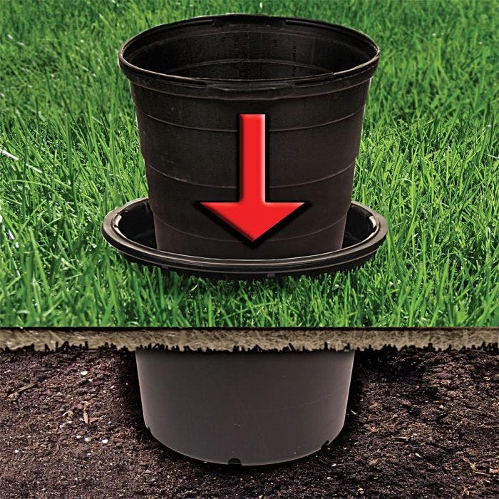 NSI Grip Lip Container Trade 20 Squat 2 NSI Grip Lip Container Trade 20 Squat - Image 2