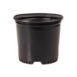 NSI Pressure Formed Container Trade True 1