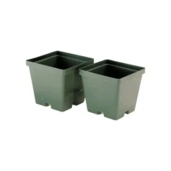 ITML Kord Lite Square Pots 3 15/16in X 3 9/16in Green 960 Per Case