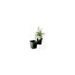 ITML Kordlok Deep Perennial Pots 4.25in Width X 4.875in Depth Green 510 Per Case.