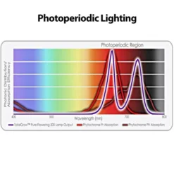 TotalGrow Pure Flowering 200 Lamp -Outdoor Garden Store tg1a4 2