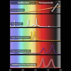 TotalGrow Pure Flowering 200 Lamp -Outdoor Garden Store tg1a4 5