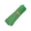 Twist-Em Plant Tie, Green Paper With Wire Center, 6-in