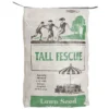 Turf Type Tall Fescue